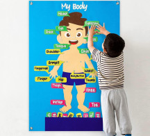 لوحة فلين جسم الانسان