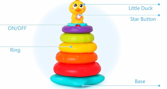 بطة قوس قزح Rainbow duck