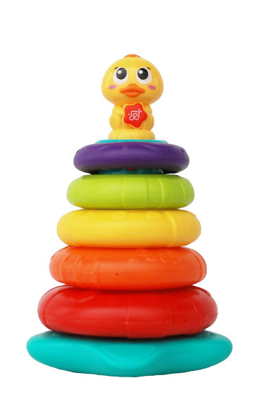 بطة قوس قزح Rainbow duck
