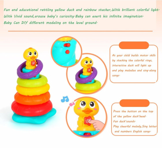 بطة قوس قزح Rainbow duck