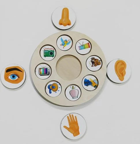 حواسي - 7 أنشطة مختلفة